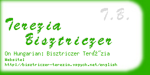 terezia bisztriczer business card